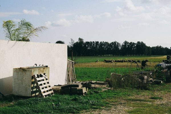 La Crau verte