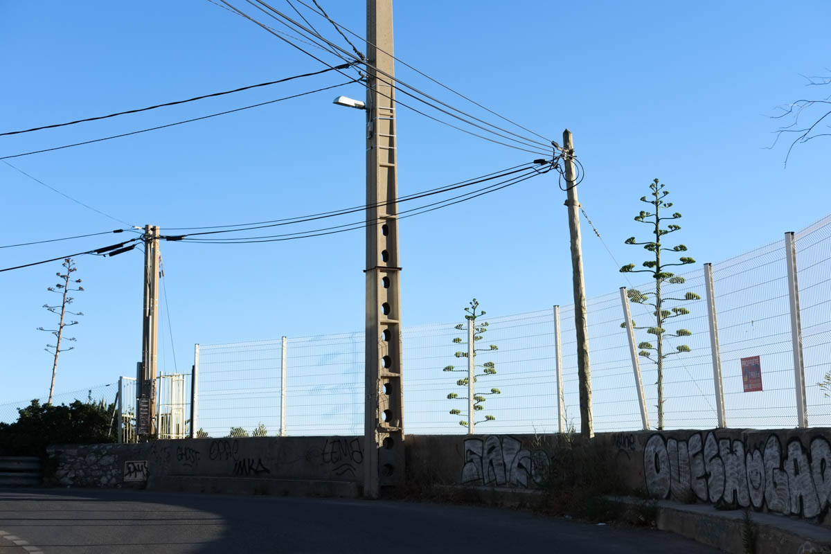 3995-marseille-infinie