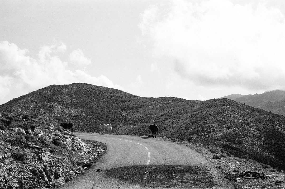 40-28-cap-corse