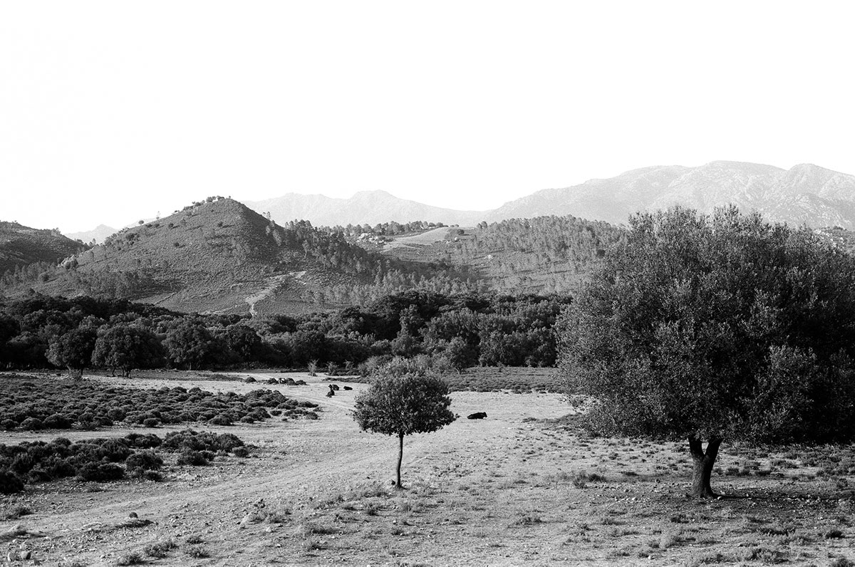 40-34-cap-corse